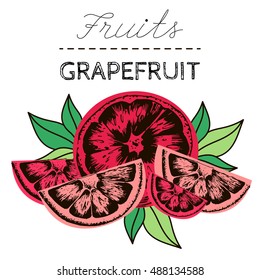 Grapefruit black line hand drawn with leaves on a white background. Vector drawing of citrus. Colored slice, for menu or juice label.