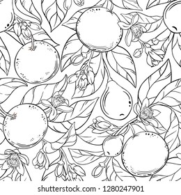 grapefruit branches vector pattern on white background