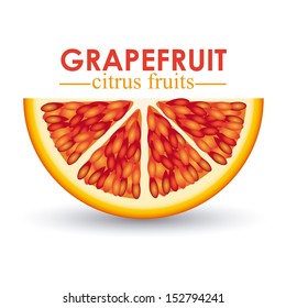 grapefruit citrus fruit  over white background vector illustration  