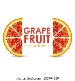 grapefruit citrus fruit  over white background vector illustration  
