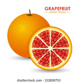 grapefruit citrus fruit  over white background vector illustration  