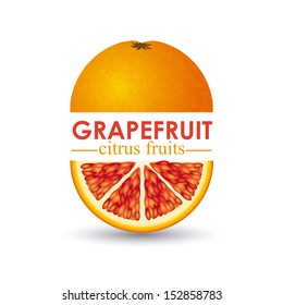grapefruit citrus fruit  over white background vector illustration  