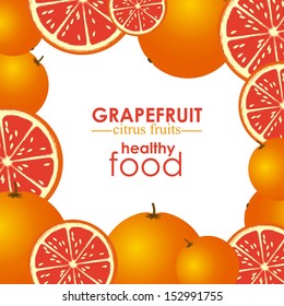 grapefruit citrus fruit  over white background vector illustration  