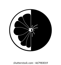 grapefruit cut in half icon
