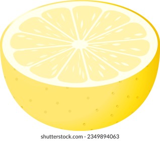 The grapefruit cut in half isolated on white background