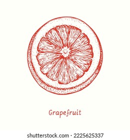   Grapefruitschnitt Gänseblümchen mit Holzschnitt