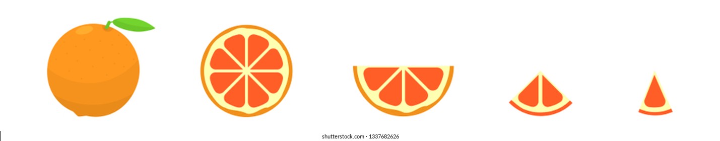Grapefruit. Cut grapefruit with slices isolated over white background Vector illustration