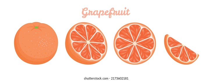 Grapefruit in flat style. Grapefruit  slices, half and whole fruit. Orange citrus fruit isolated vector illustration set. Juicy, juice vitamin and organic.	
