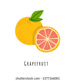 Grapefruit flat vector illustration. Cartoon slices of fresh fruit. Isolated icon with shadow. Orange citrus creative clipart with typography for healthy cooking menu, logo, design element