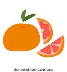 Grapefruit. Ilustración vectorial plana sobre fondo blanco. 