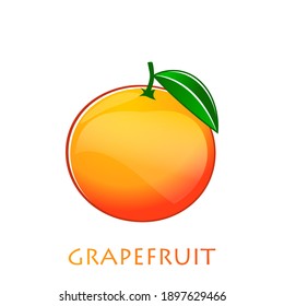 Grapefruit flat vector illustration. Orange citrus creative clipart with typography for healthy cooking menu, logo, design element