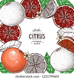 Grapefruit frame. Fresh citrus collection. Hand drawn vector illustration. Organic food, citrus design template. Colored illustration.