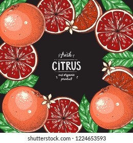 Grapefruit frame. Fresh citrus collection. Hand drawn vector illustration. Organic food, citrus design template. Colored illustration.