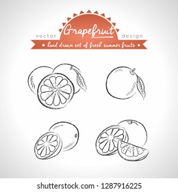Grapefruit of fresh fruits with leaf. Vector illustration. Isolated	