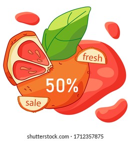 Grapefruit fresh sale label on white isolated backdrop. Juicy discount offer for vegan shop logo, promo card, healthy food shop. Internet store or website banner. Drawn style stock vector illustration