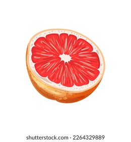 grapefruit fruit cut cartoon. food slice, citrus half, red fresh, juicy organic, ripe pink, section raw, vegetarian, vitamin grapefruit fruit cut vector illustration