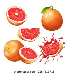 caricatura de un set fresco de fruta de pomelo. cítricos alimentarios, rodaja roja, cruda rosa, cortada orgánica, mitad jugosa, pieza madura, dulce sano, sección vitamínica fruta de pomelo ilustración vectorial fresca