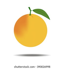 Grapefruit Fruit Icon. Citrus. Leaf. Vector illustration