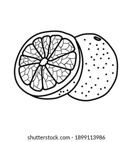 Grapefruit Fruit Icon. Vector Design Illustration Sign Logo.