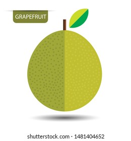 Grapefruit, fruit on white background. Flat design style. vector illustration.