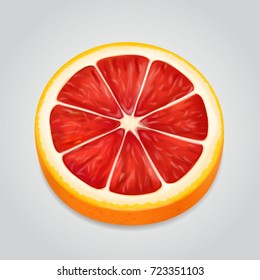Grapefruit fruit slice realistic 3d illustration Vector