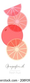 Grapefruit Fruits. Flat illustration. Beautiful transparent whole and cut fruits.