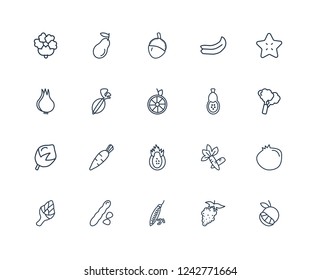 Grapefruit, Grape, Beans, Tamarind, Artichoke, Star fruit, Papaya, Pitaya, Hazelnut, Gooseberry, Lychee outline vector icons from 20 set