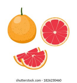 Grapefruits, halbschneiden Grapefruits und Blatt auf weißem Hintergrund. Satz Vektorgrafik.