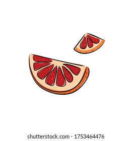 Grapefruit hand drawn on white isolated backdrop. Citrus fruit for gift card, healthy food shop logo, bath tile, juice pack. Phone case or cloth print art. Drawn style stock vector illustration