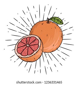 Grapefruit. Hand drawn vector illustration with grapefruit fruit and divergent rays. Used for poster, banner, web, t-shirt print, bag print, badges, flyer, logo design and more. 