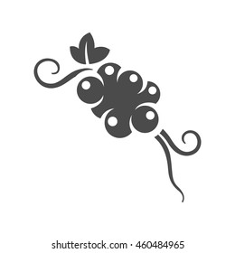 Grapefruit icon in black and white grey single color.