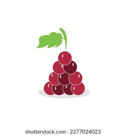Grapefruit icon illustration design free vector