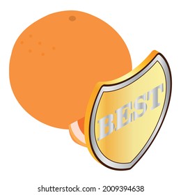 Grapefruit icon isometric vector. Fresh ripe juicy exotic citrus fruit. Quality mark, best sign