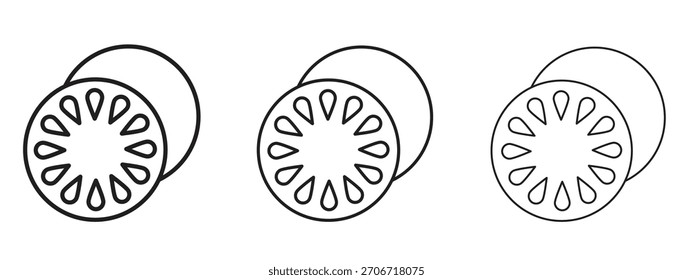 Grapefruit icon with outline style, vector illustration designs