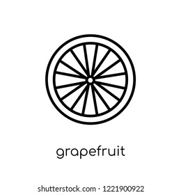 grapefruit icon. Trendy modern flat linear vector grapefruit icon on white background from thin line Fruit and vegetables collection, outline vector illustration