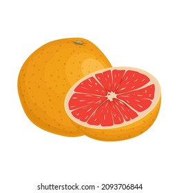 Grapefruit icon vector illustration in flat design. Whole fruit and half