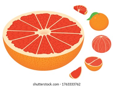 Grapefruit icons set. Isometric set of grapefruit vector icons for web design isolated on white background