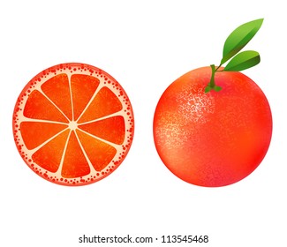 Grapefruit illustration on white