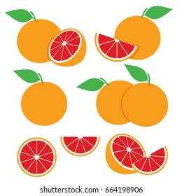 Grapefruit Illustration Vector Design Stock Image. Grapefruit Slice Vector Set