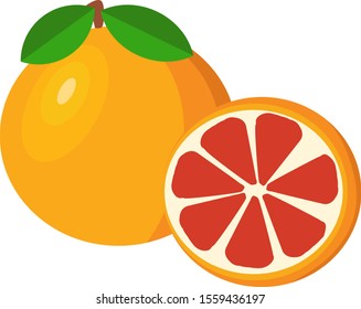 Grapefruits, Illustration, Vektorgrafik auf weißem Hintergrund.