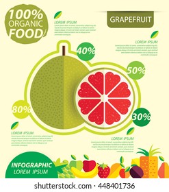Grapefruit. Infographic template. vector illustration.