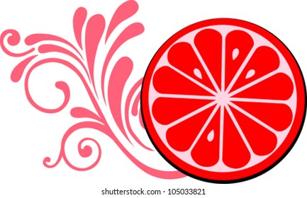 Grapefruit  isolated on White background. Close-up.  Vector illustration