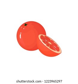 Grapefruit isolated on white background. Bright vector illustration of colorful half and whole of juicy grapefruit. Fresh cartoon