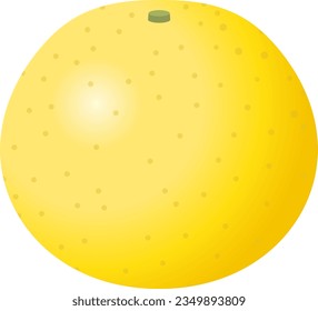 The grapefruit isolated on white background
