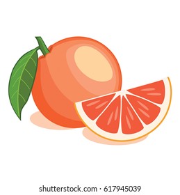 Grapefruit isolated on white background.. Vector illustration.