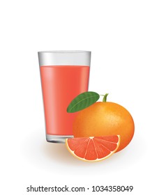 Grapefruit juice in a glass, vector