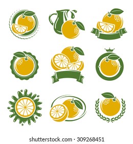 Grapefruit labels and elements set. Vector