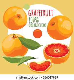 grapefruit with leaves on an abstract background. design