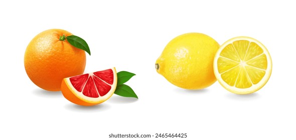 Grapefruit and lemon 3d realistic vector whole and slice.