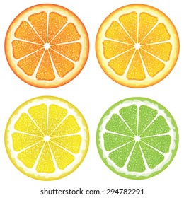 Grapefruit, lemon, orange and lime slices, colorful background.